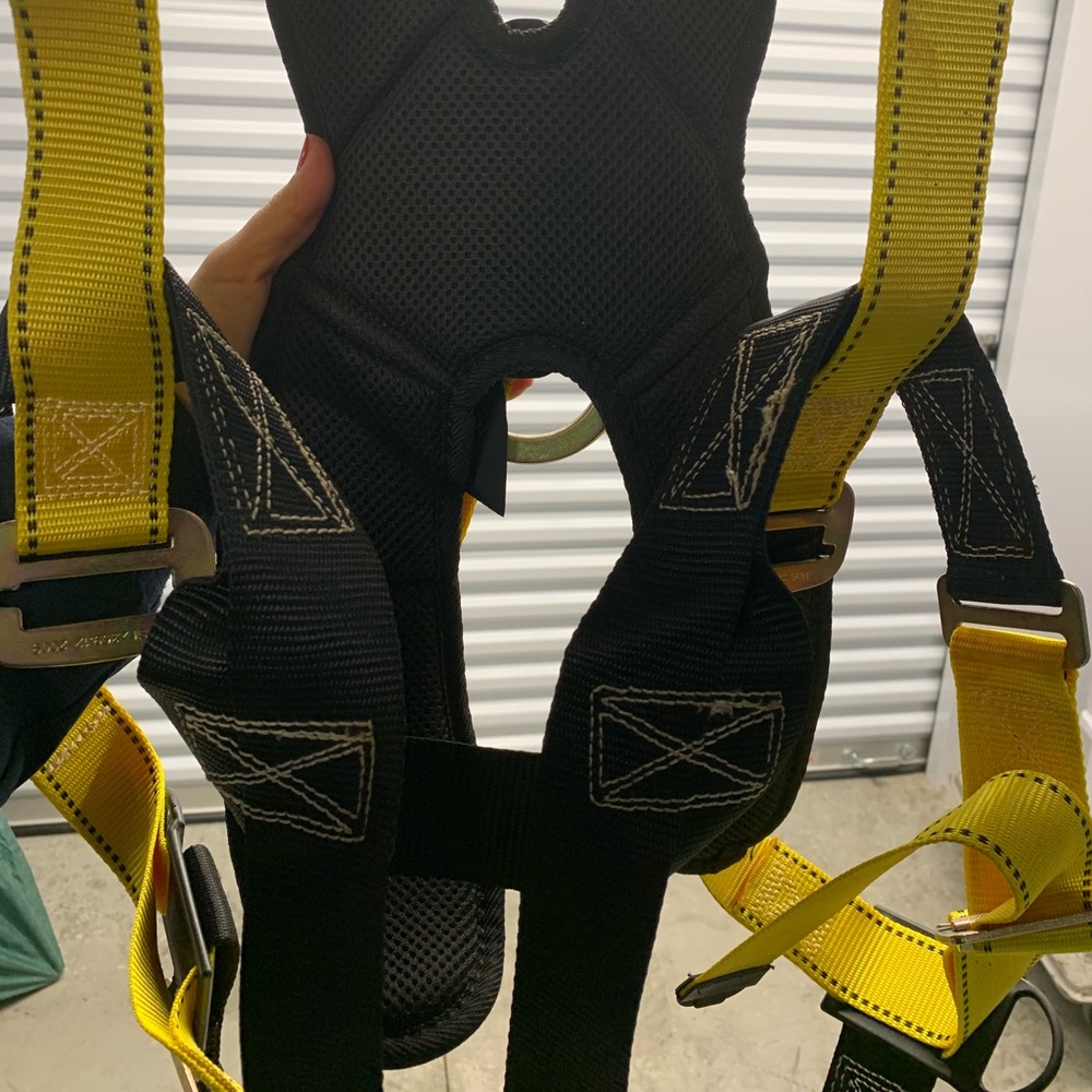 Harness - Picture 3 of 3